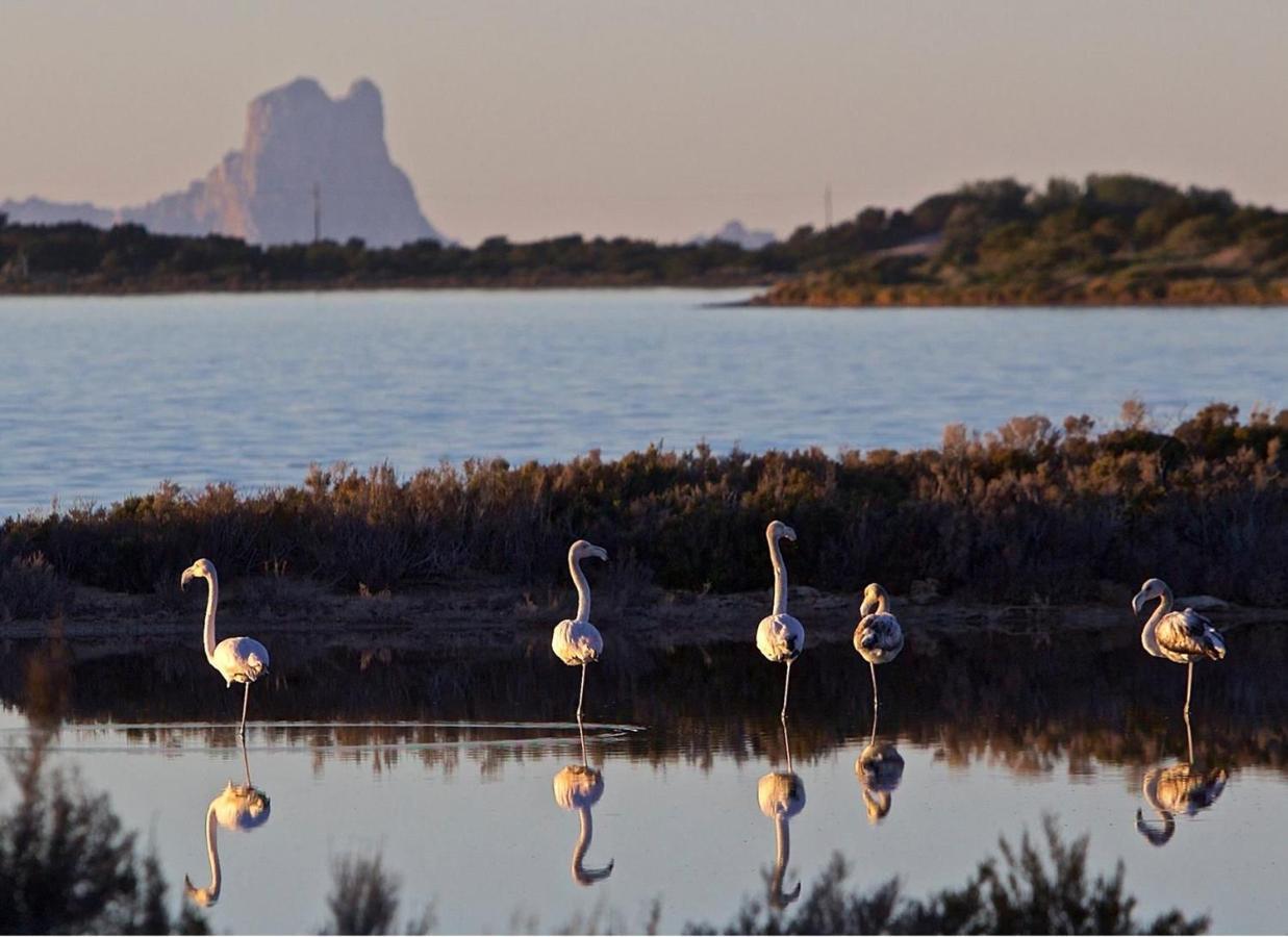 Hotel Lago Dorado - Formentera Break ลาซาวีนา ภายนอก รูปภาพ